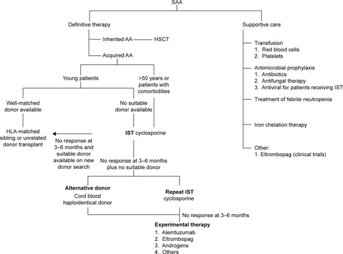 Figure 1 Current recommendation for management of severe aplastic anemia.