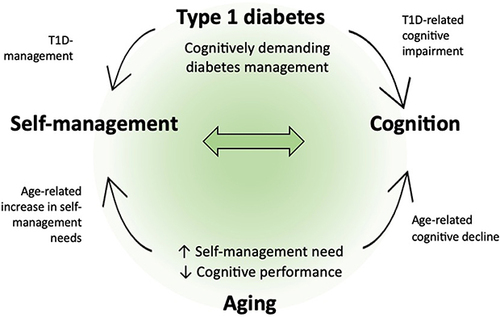 Figure 3 Cycle model of self-management, cognition, and aging in type 1 diabetes. There is a bidirectional relationship between self-management and cognition in T1D: cognitive performance influences the quality of diabetes management, and suboptimal diabetes management may also increase the likelihood of worsening cognitive performance. Both the presence of T1D and aging will affect this relationship between cognition and self-management, enhancing the dependence and strength of this bidirectional association: cognitive difficulties associated with T1D negatively impact the self-management needs generated by the disease; with age-related decline, self-management ability deteriorates and the need for planned self-management increases considerably.