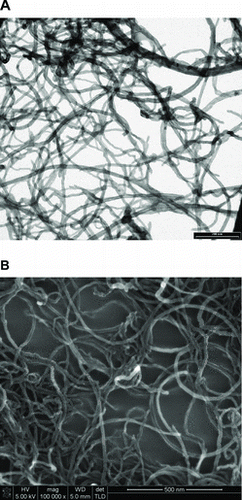 Figure 1. Transmission electronic microscopy (A) and scanning electronic microscopy (B) of oxidised multiwalled carbon nanotubes (Ox-MWCNT).