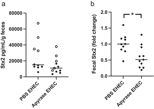 Figure 8. Shiga toxin 2 in fecal samples from E. coli O157:H7-infected mice. Levels of Shiga toxin 2 (Stx2) in murine feces were analyzed. a) Stx2 in feces three days after E. coli O157:H7 inoculation in PBS vehicle-treated (n=10) or apyrase-treated (n=11) mice. Two separate experiments are presented in which unfilled and filled circles represent one experiment each. b) Fold change of Stx2 in feces three days after E. coli O157:H7 infection. The median of PBS vehicle-treated mice was defined as 1. *P<0.05, two-tailed Mann Whitney U test. Data are presented from individual mice, the bar represents the median.