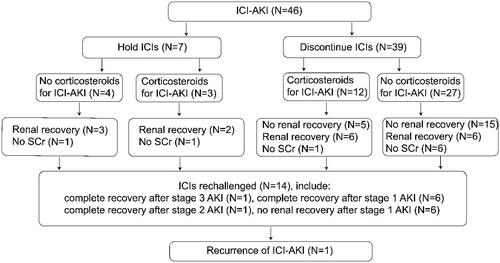 Figure 6. Flow chart of the rates of treatment with corticosteroids, renal recovery, rechallenge, and AKI recurrence. ICI-AKI: immune checkpoint inhibitor-associated acute kidney injury; AKI: acute kidney injury; SCr: serum creatinine; ICIs: immune checkpoint inhibitors.