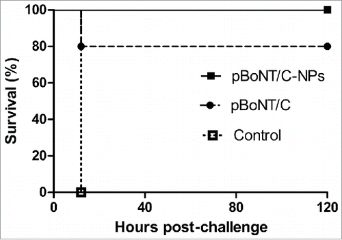 Figure 3. Protective immunity against BoNT/C challenge in immunized mice. SKH-1 Elite mice (n = 5) were dosed in weeks 0, 2, 4 and 8 with pVax/opt-BoNT/C-Hc50 plasmid (20 µg per mouse), alone (i.e., pBoNT/C) or coated on PLGA nanoparticles (i.e., pBoNT/C-NPs), with control mice receiving PBS only, and challenged in week 12 with 100 × MLD50 of BoNT/C toxin.