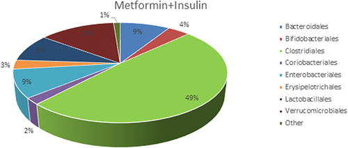 Figure 3 Percentages of the microbial population at the orders level of Metformin+Insulin group of T2DM patients.