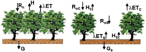 Figure 5. Surface energy balance schemes: one-source (Surface Energy Balance Algorithm for Land, SEBAL, left) and two-source (Two Source Energy Balance, TSEB, right). Adapted from Ciraolo et al. (Citation2012).