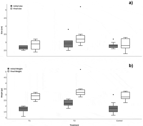Figure 2. Box and whisker graphs of changes in body size (a) and weight (b) based on food treatments. T1; treatment based on vegetal (Spirulina sp.). T2; treatment based on animal.