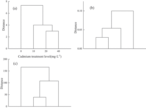 Figure 4. Cluster analysis of Cd treatment on En growth and physiology. (a) clustering analysis of growth indicators; (b) clustering analysis of chlorophyll; (c) the clustering analysis of MDA, free proline, SOD, APX and CAT.