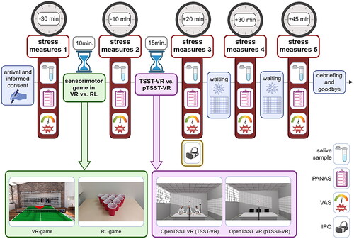 Figure 1. Overview over the experimental design of the current study.Note. Stress measures covered saliva samples as well as self-report measures of stress and affect. Saliva samples were taken in form of Salivettes® (Sarstedt, Nümbrecht, Germany) and were analyzed for salivary cortisol concentrations and salivary alpha-amylase (sAA) activity. Subjective measures comprised the Positive and Negative Affect Schedule (PANAS) and a verbal analogue scale (VAS). For the VAS, participants were instructed to rate the stressfulness of the previous situation on a scale from 0 to 100. Timepoints of the stress and affect measures are given relative to stressor onset (i.e., onset of TSST-VR or pTSST-VR). On the bottom, there are screenshots/photos of the VR-game (VR = virtual reality), the RL-game (RL = real life), the TSST-VR, and the pTSST-VR, respectively. The VR-game was screenshotted from ©ElevenTable Tennis, By For Fun Labs, Inc., Austin, Texas. The Igroup Presence Questionnaire (IPQ) was given in parallel to our third assessment of stress and affect measures to capture perceived immersion of participants during the TSST-VR or pTSST-VR. Created with BioRender.com.