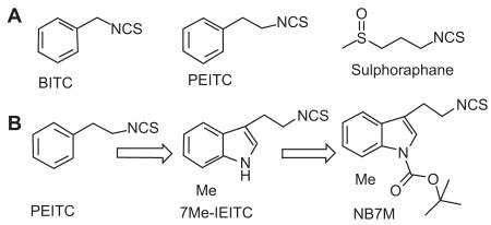 Figure 1 Naturally occurring ITC; design and structure of novel Indole ethyl ITC (IEITC). (A) Various naturally occurring ITC: (i) BITC; (ii) PEITC; (iii) Sulforaphane. (B) Design of novel Indole ethyl isothiocyantes (IEITC) leading to NB7M.
