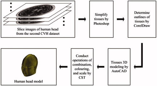 Figure 1. Flow chart of constructing human head model.