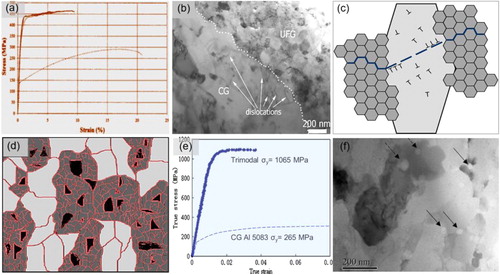 Figure 9. Multi-modal structured materials: (a) Tensile properties of bimodal structured 5083Al alloy [Citation170], (b) High-density dislocation distributed in the CG region [Citation174], (c) Cracks propagate through the NGs, but were blunted when they encounter ductile coarse grains, (d) Structure of trimodal 5083Al composite [Citation175], with (e) high strength of 1065 MPa and a tensile strain-to-failure value 4% [Citation172], and (f) B4C particles located at NG boundaries highlighted by black arrows [Citation177].