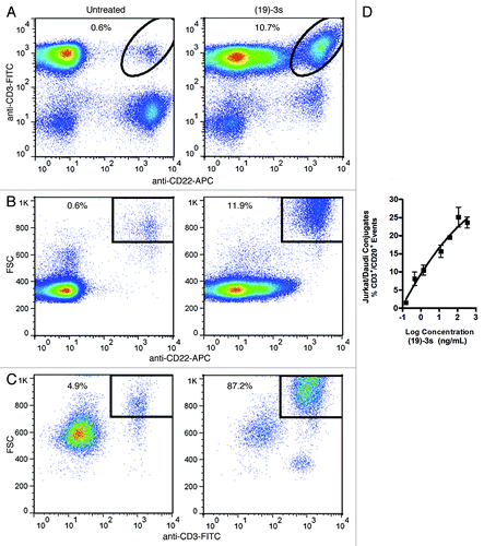 Figure 2. Association of target and effector cells mediated by (X)-3s. (A?C) Purified T cells (96.7%) were mixed with Daudi cells at a 10:1 ratio in the absence (left panels) or presence (right panels) of 1 ?g/mL (19)-3s. After 30 min at RT, the cell mixture was stained for 15 min on ice with anti-CD22-APC and anti-CD3-FITC to identify Daudi and T cells, respectively. (A) Anti-CD3 and anti-CD22 staining of the cell mixture. (B) T cells (CD3+) were gated and analyzed by anti-CD22 and forward scattering. (C) Daudi cells (CD22+) were gated and analyzed by anti-CD3 and forward scattering. For each dot plot, the indicated events in the upper right quadrant represent Daudi-T cell conjugates. (D) Daudi cells and Jurkat cells were mixed with various concentrations of (19)-3s and analyzed by flow cytometry following addition of anti-CD20-FITC and anti-CD3-PE. The percentage of CD3+/CD20+ double positive events was plotted vs. (19)-3s concentration.