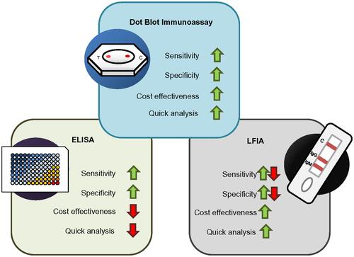 Figure 6 Comparison between dot-blot assay with ELISA and LFIA. The dot blot immunoassay has the advantage of higher sensitivity and specificity while being cost-effective and time-efficient.