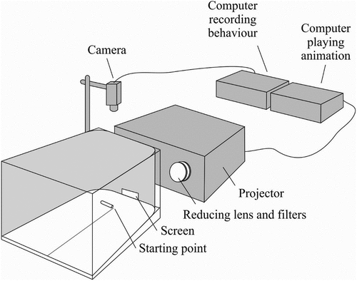 Figure 2. The setup used in Experiment 2 (details in the text).