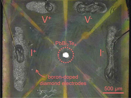 Figure 2. Optical image of the sample space of DAC with boron-doped diamond electrodes.