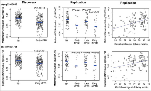 Figure 2. The distribution of DNA methylation levels at the two validated sites in both the discovery and replication Black maternal samples from the Boston Birth Cohort, stratified by term vs. preterm status of the neonates. TB: term birth; sPTB: spontaneous PTB; mPTB: medically-indicated PTB. P values shown in the figure were calculated using the regression models to indicate a significant DNAm difference between mothers in each PTB subgroup and mothers with TBs.