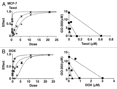 Figure 6. Synergistic interaction of GO-203 in combination with taxol and DOX in the treatment of MCF-7 cells. (A) MCF-7 cells were exposed to fixed IC50 ratios GO-203 alone, taxol alone and the GO-203/taxol combination. The dose-effect curves for GO-203 alone (+), taxol alone (8) and GO-203/taxol (X) are shown in the left panel. The multiple effect-level isobologram analysis is shown in the right panel for the ED90 (solid circles), ED75 (solid squares) and ED50 (solid triangles). The CI values are listed in Table 2. (B) MCF-7 cells were treated with fixed IC50 ratios of GO-203 alone, DOX alone and the GO-203/DOX combination. The dose-effect curves for GO-203 alone (+), DOX alone (8) and GO-203/DOX (X) are shown in the left panel. The multiple effect-level isobologram analysis is shown in the right panel for the ED90 (solid circles), ED75 (solid squares) and ED50 (solid triangles). The CI values are listed in Table 2.