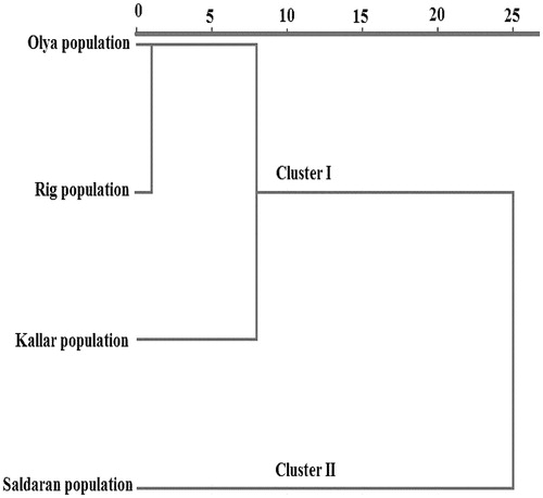 Figure 3. Dendrogram obtained by hierarchical cluster analysis (HCA).