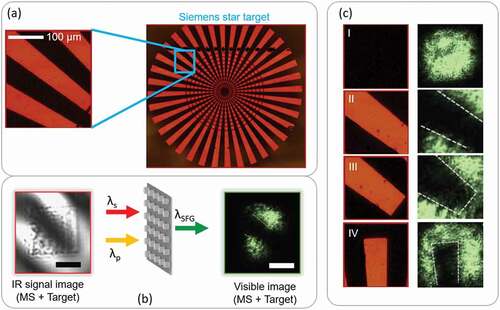 Figure 10. (a) Optical microscope image of the Siemens star utilized for imaging. The section of the target used in the IR image is highlighted by the light-blue square. (b) The plot in the middle represents a sketch of the IR up-conversion imaging mechanism by exploiting the optimized GaAs metasurface: the metasurface is simultaneously illuminated by the pump and signal beams, generating at the output the SFG emission. The left panel shows the IR signal image acquired with an InGaAs camera. By simultaneously illuminating the metasurface with the IR image (in the signal beam) and the pump beam, due to the SFG process, a visible image of the target is obtained, which is subsequently imaged by a lens onto a CCD camera. The size of the fabricated metasurface is 30 μm×30 μm whereas the scale bars correspond to 15 μm. (c) Optical microscope images acquired at different positions of the target (left column) and their visible upconverted images (right column). The position (I) shows the SFG emission in the absence of the target whereas positions from (II) to (IV) display the visible SFG images for three different target positions in the transverse plane.