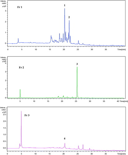 Figure 1. Chromatographic profiles at 330 nm of the fractions (Fr2, Fr3, and Fr4) of methanol extract. The numeration is that of Table 2.