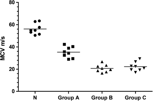 Figure 4. The motor nerve conduction velocity for the normal common peroneal nerve and for each group at postoperative month 3. There was no difference between the sleeve suture group and the adventitial suture group (n = 8). MCV: motor nerve conduction velocity; N: the normal peroneal nerve; Group A: the in situ graft group; Group B: the adventitial suture group; Group C: the sleeve suture group.