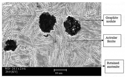 Figure 2. SEM images of ADI with 0.64-wt% Mn produced by conventional austempering at austenization temperatures of 950 and 420 °C.