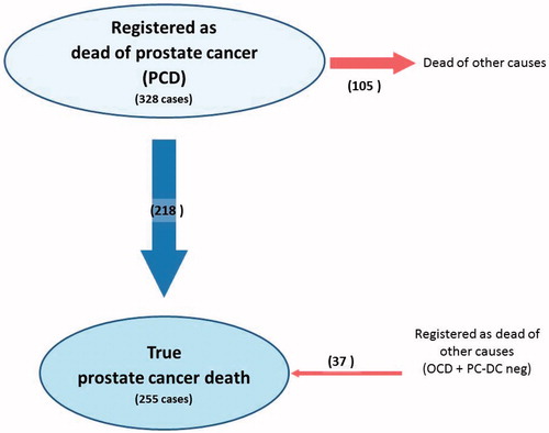 Figure 3. Patient transition from the original group of patients registered as dead from prostate cancer (PCD) and formation of the group of patients observed dead from prostate cancer. OCD: dead from other causes; PC-DCneg: prostate cancer not registered on the death certificate.