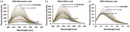 Figure 2. Fluorescence spectra of the interaction of BSA (2 μΜ) with (a) rosmarinic acid (A–Χ: 0–20 μΜ), (b) caffeic acid (A–Χ: 0–20 μΜ) and (c) salvianic acid (A–Χ: 0–20 μΜ).