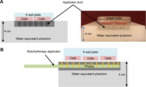 Figure 1 Schematic showing the setup used for irradiation of cells in culture; (A) front view and (B) side view.