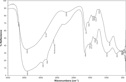Figure 3 FTIR of PEI-As2O3/MZF: the top curve is As2O3/MZF and the bottom is PEI-As2O3/MZF.Abbreviations: FTIR, Fourier transform infrared spectroscopy; PEI, polyethyleneimine.