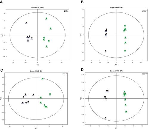 Figure 6 Score plots of the orthogonal partial least-squares discriminant analysis (OPLS-DA) model for saliva samples. (A) OPLS-DA model for OSA and control group, the model parameters were: R2X=0.344 R2Y=0.949 Q2=0.352. (B) OPLS-DA model for complication (OSA+HTN) and control group, the model parameters were R2X=0.619 R2Y=0.998 Q2=0.772. (C) OPLS-DA model for complication (OSA+ HTN) and HTN group, the model parameters were: R2X=0.609 R2Y=0.993 Q2=0.587. (D) OPLS-DA model for complication (OSA+HTN) and OSA group, the model parameters were: R2X=0.378 R2Y=0.881 Q2=−0.0792.