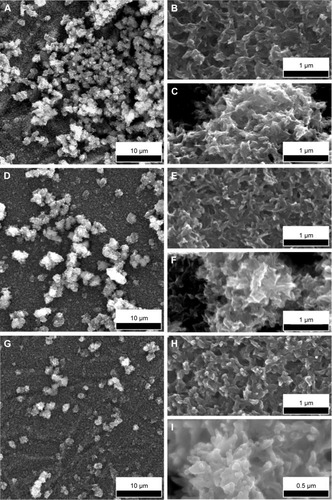 Figure 8 SEM images of BG-O (A–C), BG-3S (D–F), and BG-5S (G–I) coatings tested in vitro for 28 days in SBF medium.Notes: Panoramic (A, D, G) views. Detailed views of matrix (B, E, H) and spheroid nodules (C, F, I).Abbreviations: SEM, scanning electron microscopy; BG-O, films deposited from the simple BG target; BG-3S, films deposited from BG target with three silica plates; BG-5S, films deposited from BG target with five silica plates; SBF, simulated body fluid.