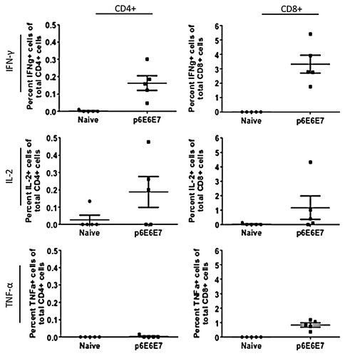 Figure 6. Cytokine production by HPV6 antigen-specific T-cells characterized by intracellular cytokine staining. Splenocytes isolated from mice vaccinated with p6E6E7 were stimulated with R10 growth medium, PMA, or consensus gene peptides for 4 h prior to surface marker and intracellular staining. Dot plots above show differences in background-subtracted percentages of either total CD4+ or CD8+ cells producing IFN-γ, IL-2, and TNF-α.