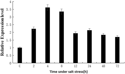 Figure 8. Relative expression levels of LiMAPK in leaves of Tiger lily under NaCl stress with salt threshold concentrations. Note: C, control.