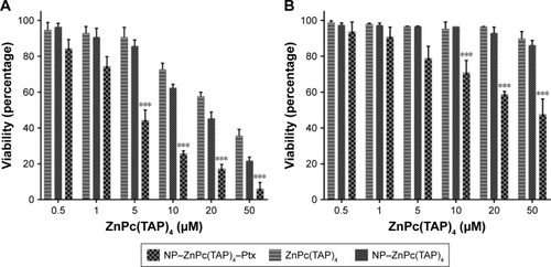 Figure 3 Cytotoxicity of NP–ZnPc(TAP)4–Ptx, NP–ZnPc(TAP)4 and ZnPc(TAP)4 for H1299 cells.Notes: A total of 8,000 adherent cells were cultivated in 1-well of 96-well plates and absorbed NP–ZnPc(TAP)4–Ptx, NP–ZnPc(TAP)4, or ZnPc(TAP)4 at different concentrations (0.5 µM, 1 µM, 5 µM, 10 µM, 20 µM, or 50 µM) for 24 hours. Then, cells were illuminated with light fluence of 1.5 J/cm2 for 1 minute. After 24 hours for apoptosis, viable cells were checked by MTT. (A) The phototoxicity of three samples depended on their concentrations, and NP–ZnPc(TAP)4–Ptx had the strongest phototoxicity for the synergistic effect of PDT and chemotherapy. (B) Dark toxicity was detected in the same way, just without illumination. NP–ZnPc(TAP)4 and ZnPc(TAP)4 had hardly any dark toxicity, and the dark toxicity of NP–ZnPc(TAP)4–Ptx was significantly weaker than its phototoxicity. ***P<0.001.Abbreviations: NP, nanoparticle; ZnPc, zinc phthalocyanine; Ptx, paclitaxel; PDT, photodynamic therapy.