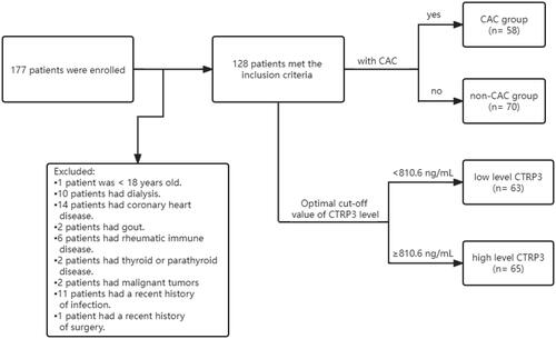 Figure 1. Flow diagram of the study participants.