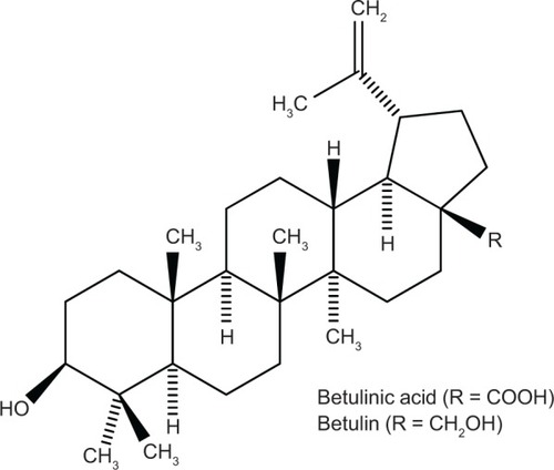 Figure 1 Chemical structure of betulinic acid, the oxidation product of betulin.