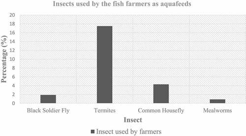 Figure 2. Insects used by the fish farmers as aquafeeds.