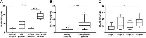 Figure 4. Serum SPARC-M levels in patients with fibrotic disorders and healthy controls.(A) Cohort 1: Serum SPARC-M was assessed in healthy controls (n = 6), IPF patients (n = 7), COPD patients (n = 8) and lung cancer patients (n = 8). Groups were compared using Kruskal-Wallis adjusted for Dunn’s multiple comparisons test. (B) Cohort 2: Serum SPARC-M was assessed in healthy controls (n = 20) and lung cancer patients (n = 40). Groups were compared using unpaired, two-tailed Mann-Whitney test. (C) Lung cancer patients (from cohort 2) were stratified according to their cancer stage (stage I-IV, n = 10 in each group). Data were compared using Kruskal-Wallis adjusted for Dunn’s multiple comparisons test. All Data are shown as Tukey box plots. Significance level: *: p < 0.05, ***: p < 0.001, ****: p < 0.0001.
