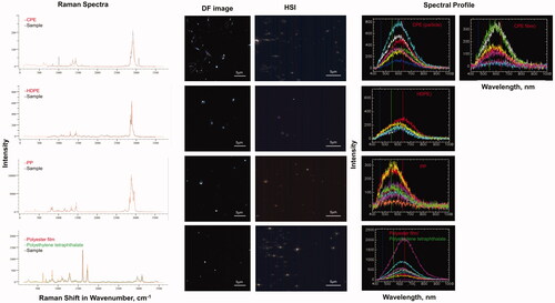 Figure 5. Detection and hyperspectral analysis of MP generated from UV-irradiated commonly found plastic items in the environment using a CytoViva hyperspectral microscope. The items were polyethylene bag, flexible food packaging plastic, synthetic rope and hard clear food packaging plastic which were identified by Raman analysis as – CPE, PE, PP and Polyester film/Polyethylene tetraphthalate respectively. HSI (hyperspectral image).