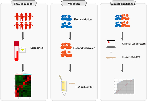 Figure 1 Graphic workflow of this study, including miRNA sequencing, validation and clinical significance.