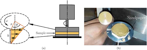 Figure 2. Parallel plate geometry: (a) torsional flow of the sample and (b) enlarged view of parallel plate disc with sandpaper.