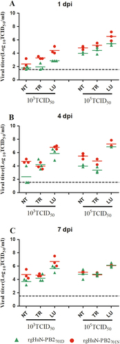 Fig. 4 Replication of the recombinant viruses in the respiratory tracts of mice.Eight- to ten-week-old female C57BL/6 mice (n = 3/time-point) were inoculated intranasally with 103 TCID50 (left) or 105 TCID50 (right) of the recombinant viruses. Animals were euthanized at 1 (a), 4 (b), and 7 (c) dpi. Viral titers in the tissues were determined on MDCK cells. NT Nasal turbinate, TR trachea, LU lung