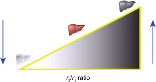 Figure 1 Influence of the r2/r1 ratio on the efficiency of a contrast agent.Notes: High values of r2/r1 are characteristic of T2 contrast agents, which produce a hypointense signal in T2-weighted images, and thus organs appear darker in the image. Low values of r2/r1 define T1 contrast agents, and the associated images are clearer and brighter.