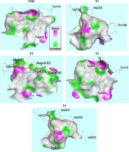 Figure 11. Hydrogen bond surface of 5DSG with all drugs (TMS, T1, T2, T3 and T4),