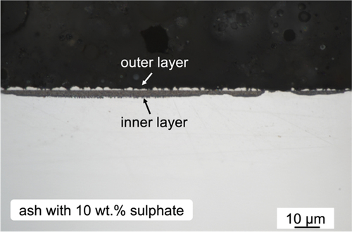 Figure 8. Cross-sectional optical micrograph of 10 wt.% sulphate salt +90 wt.% ash covered Ni-25Cr after 300 h reaction in Ar-60CO2-20 H2O at 650°C.