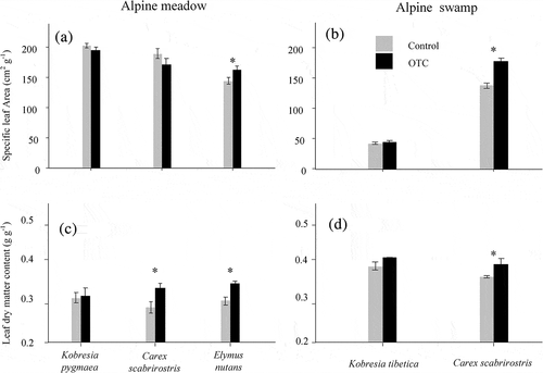 Figure 3. Specific leaf area and leaf dry matter content for the most common species in control and OTC plots in alpine meadow and swamp in the Tibetan Plateau. Data are shown as mean ± SE (n = 6). Asterisks indicate significant (p < .05) differences between control and OTCs