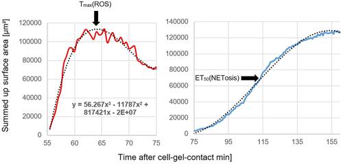 Figure 1 ROS production (TmaxROS) and NETosis (ET50NET) visualized by time-related total surface areas.