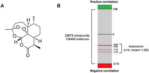 Figure 2 CMap analysis predicted the therapeutic effect of artemisinin for IgAN. (A) The chemical structure of artemisinin. (B) The bar graph shows all the output instances of different compounds in CMap analysis. The green and red edges represent positive and negative correlation with IgAN DEGs, respectively, while the red lines indicate the NCS value of artemisinin.