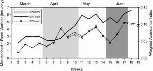 Figure 5. Weekly overall abundance of Moustached and Reed Warblers (RW + MW) during the 2012 breeding season (the solid line represents MA over 3 weeks), higher food demand periods of Moustached and Reed Warblers (light grey area and dark grey area, respectively) identified on the basis of brood patch data, and food availability for the two species according to the WAI.