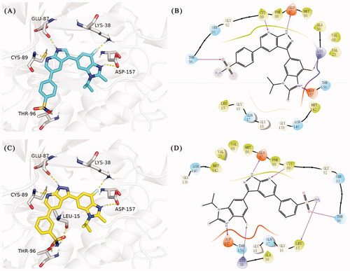 Figure 5. (A) The binding mode of 15t (coloured by element with carbons in cyans) in the TBK1 active site. (B) 2D diagram of the interaction between compound 15t and TBK1. (C) The binding mode of 15y (coloured by element with carbons in yellow) in the TBK1 active site. (D) 2D diagram of the interaction between compound 15y and TBK1. The kinase was depicted in white cartoon, and interactions were illustrated with yellow dashed lines.